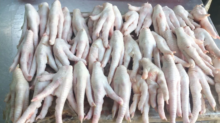 Bello Alimentos Ltda