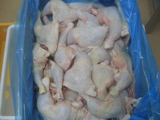 halal frozen chicken parts exporters