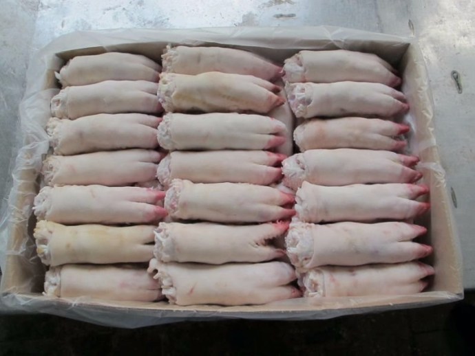 Frozen Pork Feet Specifications